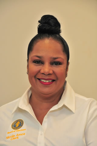 Nicole-Amos- Nicole Amos - The Clerk