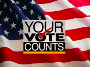 your vote counts banner